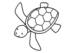 小海龜簡(jiǎn)筆畫(huà)圖片