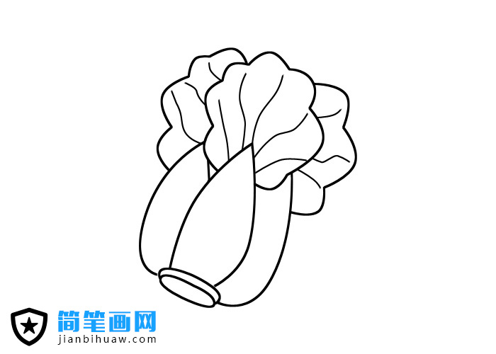 大白菜簡(jiǎn)筆畫圖片