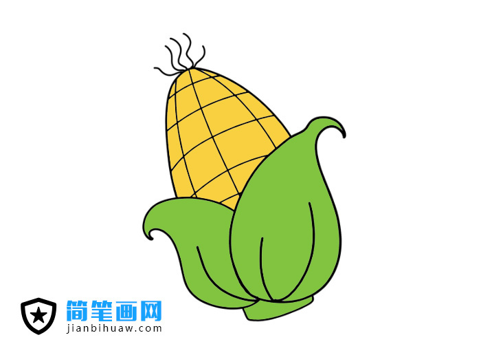 玉米簡(jiǎn)筆畫圖片含上色