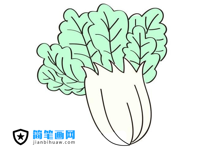 大白菜簡(jiǎn)筆畫(huà)怎么畫(huà)簡(jiǎn)單漂亮