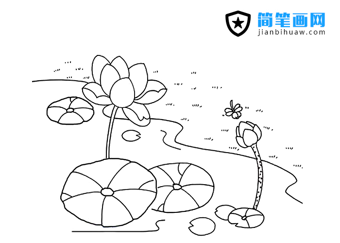 荷花池的簡(jiǎn)筆畫(huà)圖片