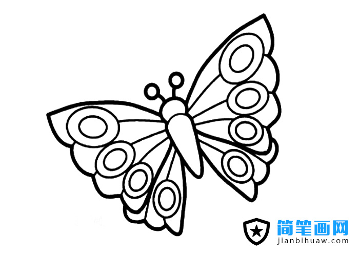 幼兒蝴蝶簡(jiǎn)筆畫圖片