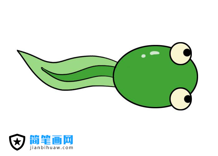 小蝌蚪簡(jiǎn)筆畫(huà)圖片含上色
